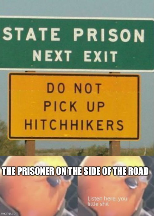 Hmmm | THE PRISONER ON THE SIDE OF THE ROAD | image tagged in listen here you little shit bird | made w/ Imgflip meme maker