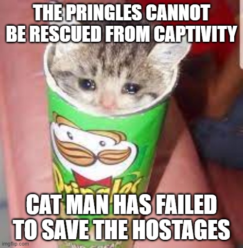 Cat stuck in pringle | THE PRINGLES CANNOT BE RESCUED FROM CAPTIVITY; CAT MAN HAS FAILED TO SAVE THE HOSTAGES | image tagged in cat stuck in pringle | made w/ Imgflip meme maker