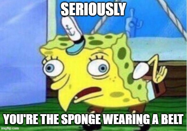 Mocking Spongebob | SERIOUSLY; YOU'RE THE SPONGE WEARING A BELT | image tagged in memes,mocking spongebob | made w/ Imgflip meme maker