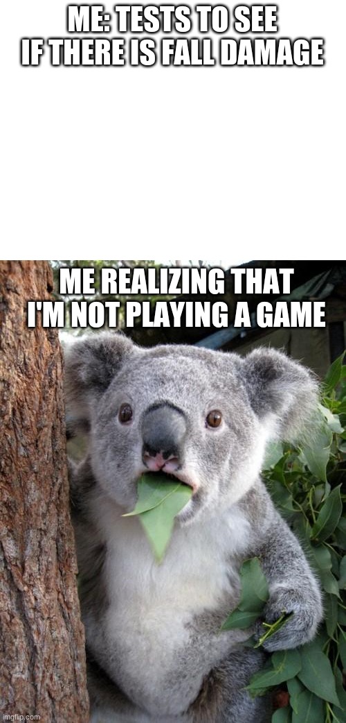 ME: TESTS TO SEE IF THERE IS FALL DAMAGE; ME REALIZING THAT I'M NOT PLAYING A GAME | image tagged in blank white template,memes,surprised koala | made w/ Imgflip meme maker