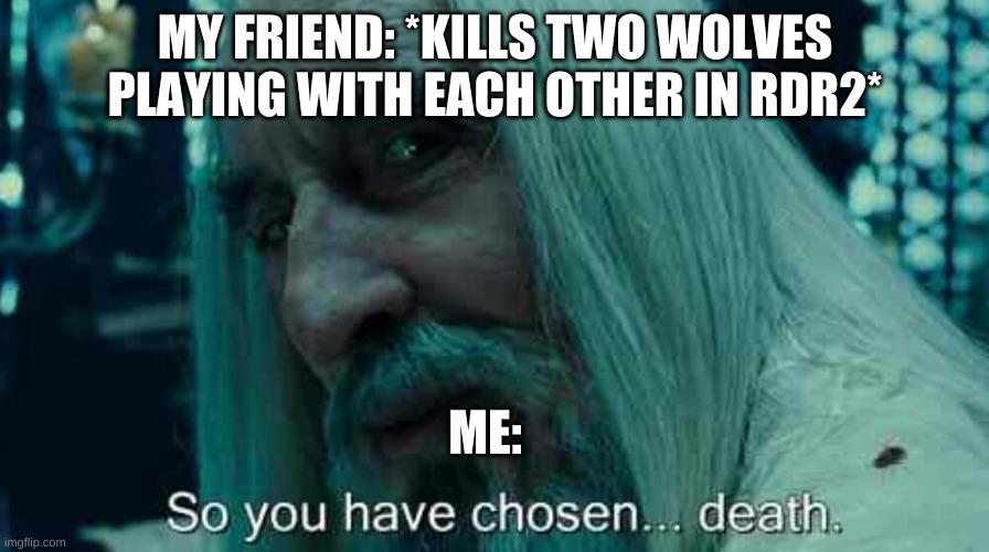 This happened once. | MY FRIEND: *KILLS TWO WOLVES PLAYING WITH EACH OTHER IN RDR2*; ME: | image tagged in so you have chosen death,red dead redemption,rdr2 | made w/ Imgflip meme maker