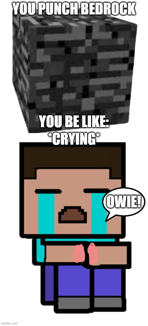 YOU PUNCH BEDROCK; YOU BE LIKE:; *CRYING*; OWIE! | image tagged in minecraft bedrock | made w/ Imgflip meme maker
