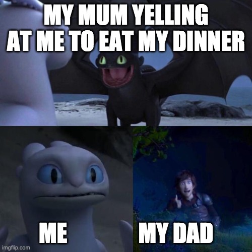 Trust me this is all true and when you get this life you will have a the laugh of your life | MY MUM YELLING AT ME TO EAT MY DINNER; ME                MY DAD | image tagged in toothless presents himself | made w/ Imgflip meme maker