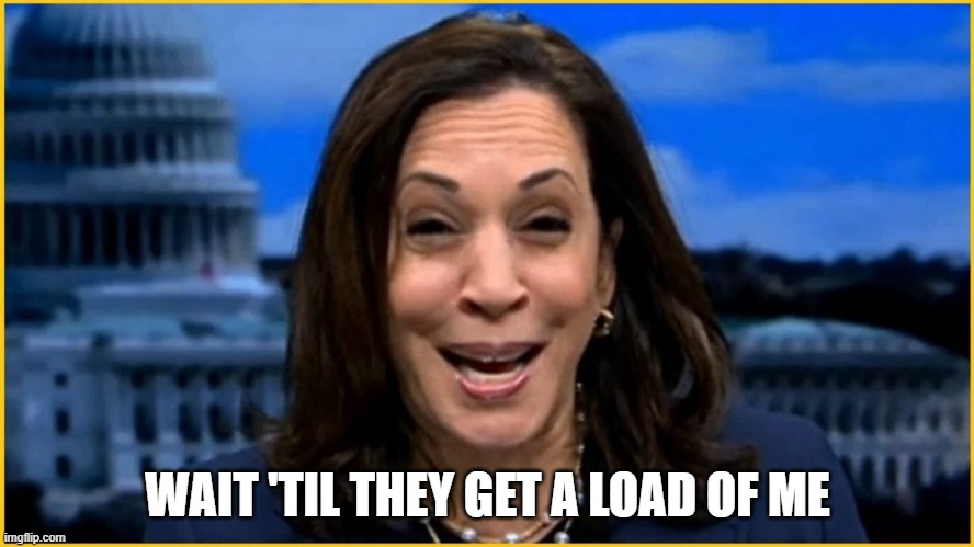 Kamala Joker | WAIT 'TIL THEY GET A LOAD OF ME | made w/ Imgflip meme maker