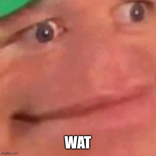 Wait Hol Up | WAT | image tagged in wait hol up | made w/ Imgflip meme maker