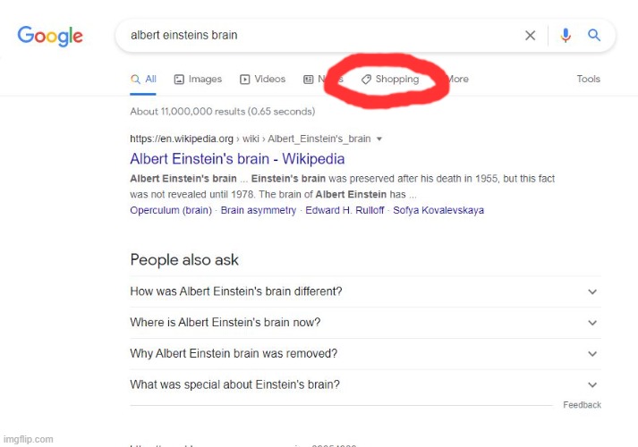 You can buy Einstein's brain?!?! | image tagged in brain,albert einstein,shopping,google,google search | made w/ Imgflip meme maker