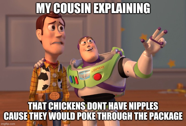 X, X Everywhere | MY COUSIN EXPLAINING; THAT CHICKENS DONT HAVE NIPPLES CAUSE THEY WOULD POKE THROUGH THE PACKAGE | image tagged in memes,x x everywhere | made w/ Imgflip meme maker