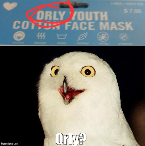 Orly? | Orly? | image tagged in orly owl | made w/ Imgflip meme maker