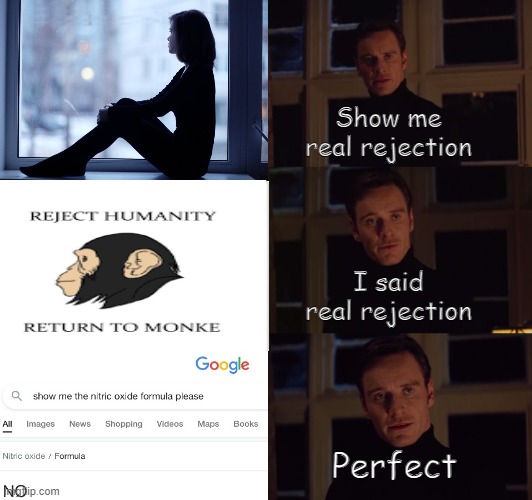 perfection | Show me real rejection I said real rejection Perfect | image tagged in perfection | made w/ Imgflip meme maker