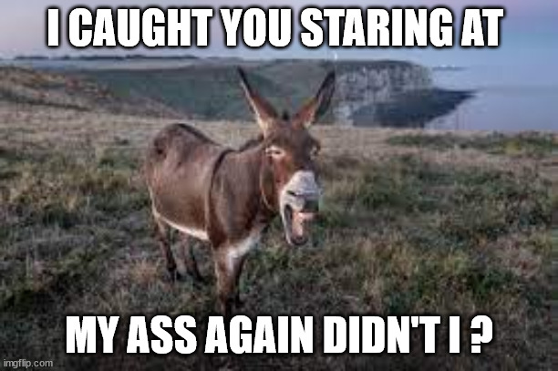 Caught you | I CAUGHT YOU STARING AT; MY ASS AGAIN DIDN'T I ? | image tagged in memes,funny | made w/ Imgflip meme maker