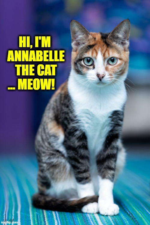 Not Quite as Scary as her Horror Namesake | HI, I'M 
ANNABELLE
THE CAT
... MEOW! | image tagged in vince vance,cats,annabelle,pretty eyes,funny cat memes,meow | made w/ Imgflip meme maker