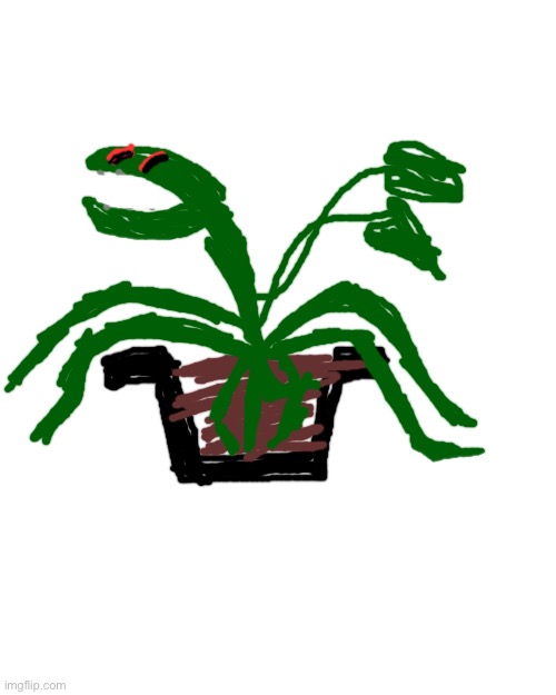 Pot plants design for now, needs more work | image tagged in memes,blank transparent square | made w/ Imgflip meme maker