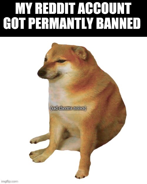 pain | MY REDDIT ACCOUNT GOT PERMANTLY BANNED | image tagged in sad cheems noises,sad,reddit,i hate reddit now | made w/ Imgflip meme maker