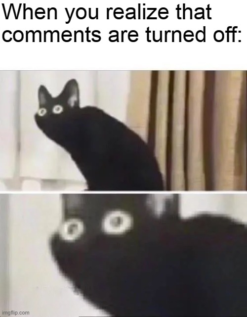 Oh No Black Cat | When you realize that comments are turned off: | image tagged in oh no black cat | made w/ Imgflip meme maker