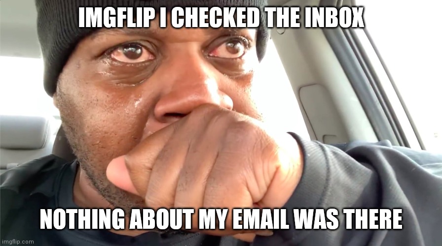 Pls | IMGFLIP I CHECKED THE INBOX; NOTHING ABOUT MY EMAIL WAS THERE | image tagged in edp445 crying meme | made w/ Imgflip meme maker