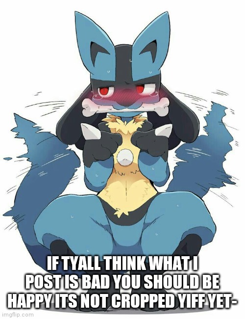 Lucario~ | IF TYALL THINK WHAT I POST IS BAD YOU SHOULD BE HAPPY ITS NOT CROPPED YIFF YET- | image tagged in lucario | made w/ Imgflip meme maker