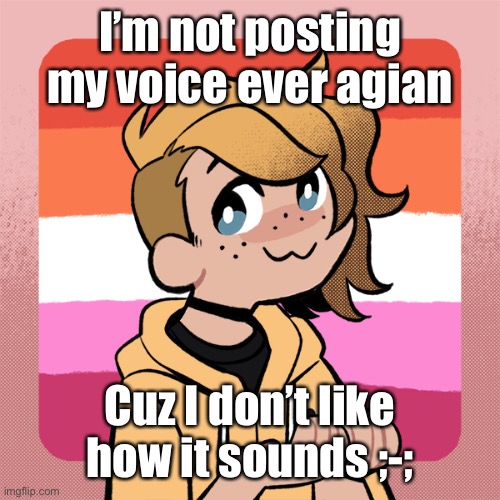 I’m not posting my voice ever agian; Cuz I don’t like how it sounds ;-; | image tagged in hey look it s bean | made w/ Imgflip meme maker