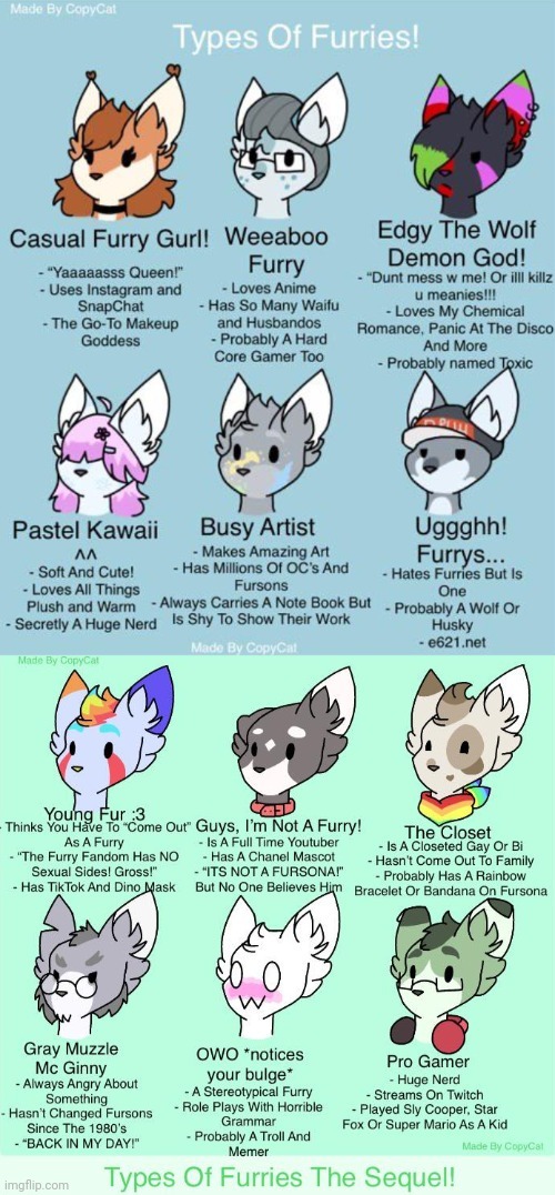 Types of Fursonas | image tagged in types of fursonas | made w/ Imgflip meme maker