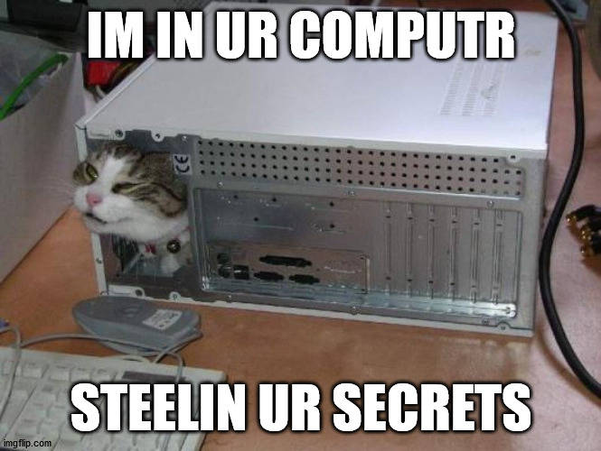 IM IN UR COMPUTR; STEELIN UR SECRETS | made w/ Imgflip meme maker