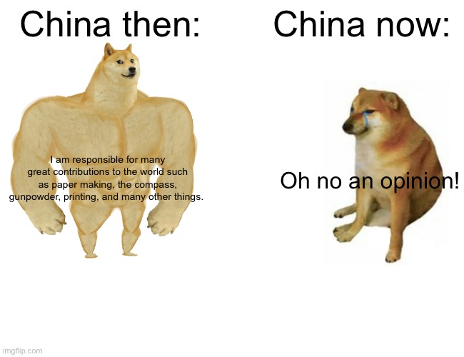 Buff Doge vs. Cheems Meme | China then:; China now:; I am responsible for many great contributions to the world such as paper making, the compass, gunpowder, printing, and many other things. Oh no an opinion! | image tagged in memes,buff doge vs cheems | made w/ Imgflip meme maker