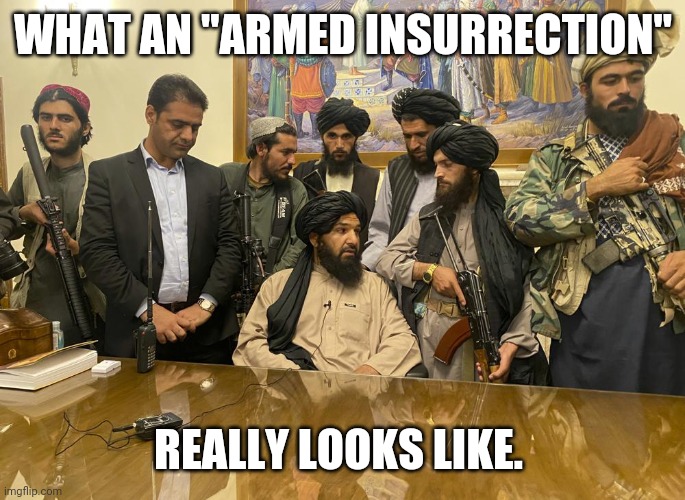 For you confused liberals out there. | WHAT AN "ARMED INSURRECTION"; REALLY LOOKS LIKE. | image tagged in memes | made w/ Imgflip meme maker
