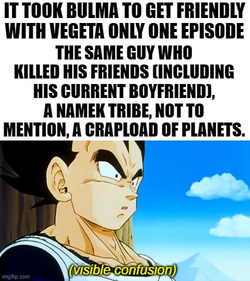 I am willing to bet that she is indeed a thot xD | IT TOOK BULMA TO GET FRIENDLY WITH VEGETA ONLY ONE EPISODE; THE SAME GUY WHO KILLED HIS FRIENDS (INCLUDING HIS CURRENT BOYFRIEND), A NAMEK TRIBE, NOT TO MENTION, A CRAPLOAD OF PLANETS. (visible confusion) | image tagged in thot,bulma,vegeta,dragon ball z,memes,funny | made w/ Imgflip meme maker