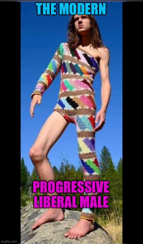 Modern Liberal Progressive Male | THE MODERN; PROGRESSIVE LIBERAL MALE | image tagged in modern,progressive,liberal,male | made w/ Imgflip meme maker