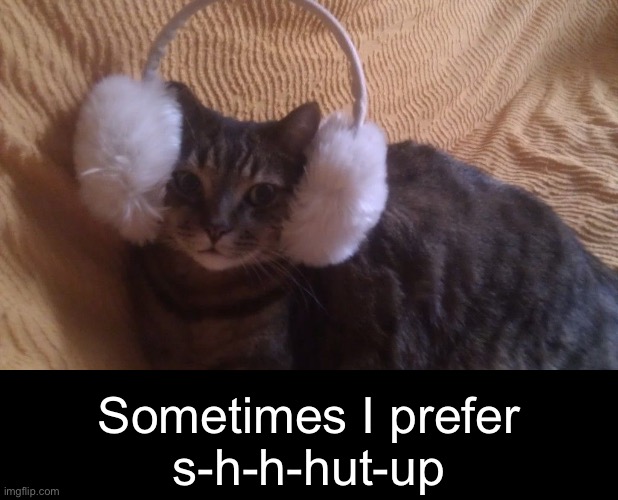 Sometimes I prefer
s-h-h-hut-up | made w/ Imgflip meme maker