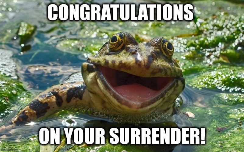 Happy Frog | CONGRATULATIONS ON YOUR SURRENDER! | image tagged in happy frog | made w/ Imgflip meme maker