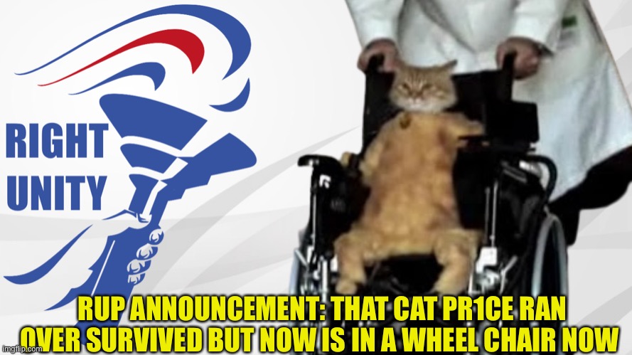 Things are looking up for the rup party, vote Pepe to save the animals from reckless driving and f1 | RUP ANNOUNCEMENT: THAT CAT PR1CE RAN OVER SURVIVED BUT NOW IS IN A WHEEL CHAIR NOW | image tagged in tran wheelchair cat,pepe party,fake news | made w/ Imgflip meme maker