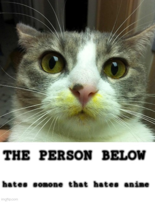 The Person Below Cat | hates somone that hates anime | image tagged in the person below cat | made w/ Imgflip meme maker