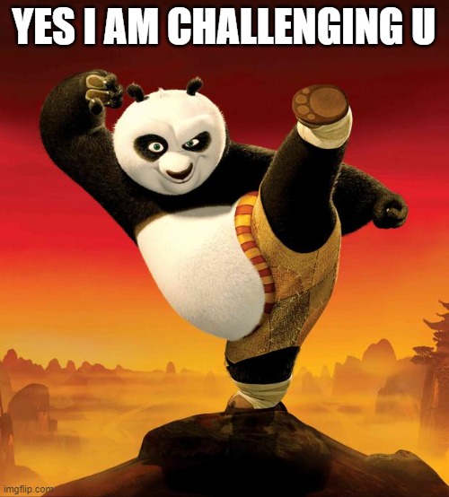 kung fu panda | YES I AM CHALLENGING U | image tagged in kung fu panda | made w/ Imgflip meme maker