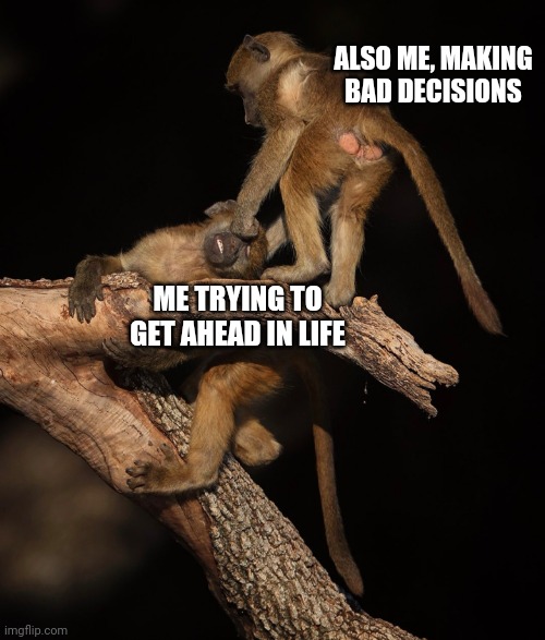 Monkey sucker punch | ALSO ME, MAKING BAD DECISIONS; ME TRYING TO GET AHEAD IN LIFE | image tagged in monkey sucker punch,memes | made w/ Imgflip meme maker