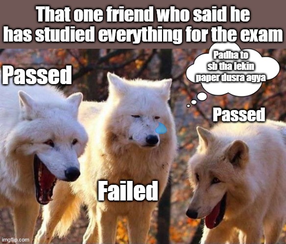 Laughing wolf | That one friend who said he has studied everything for the exam; Padha to sb tha lekin paper dusra agya; Passed; Passed; Failed | image tagged in laughing wolf,memes,funny,funny memes,lol so funny,fun | made w/ Imgflip meme maker