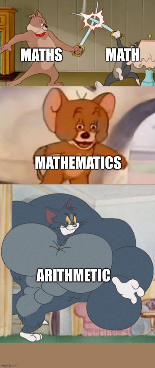 Tom and Jerry swordfight | MATHS; MATH; MATHEMATICS; ARITHMETIC | image tagged in tom and jerry swordfight | made w/ Imgflip meme maker