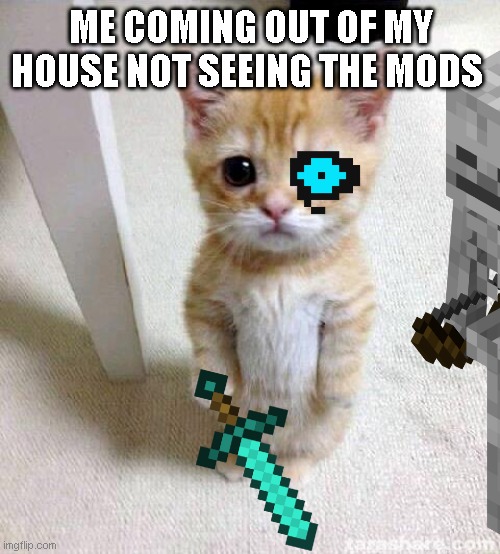 Cute Cat | ME COMING OUT OF MY HOUSE NOT SEEING THE MODS | image tagged in memes,cute cat | made w/ Imgflip meme maker