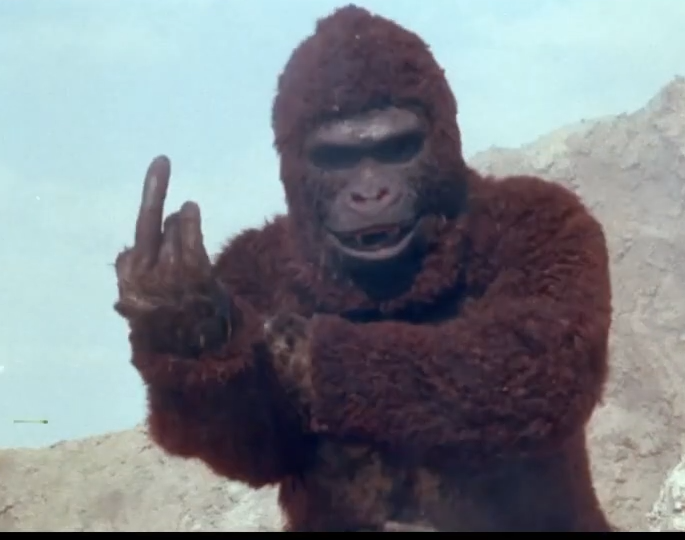 The Rare Gorilla Middle Finger Blank Meme Template