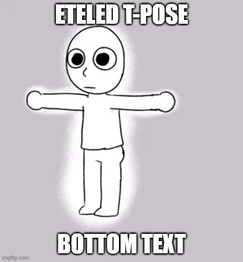 ETELED T-POSE | ETELED T-POSE; BOTTOM TEXT | image tagged in bottom text | made w/ Imgflip meme maker