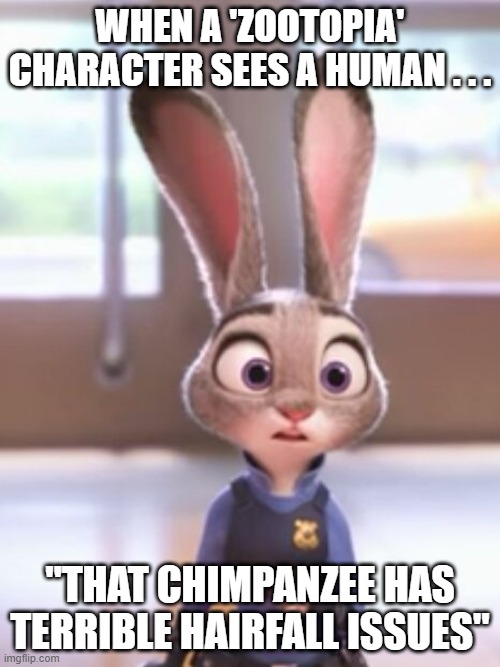 Zootopia vs Human World | WHEN A 'ZOOTOPIA' CHARACTER SEES A HUMAN . . . "THAT CHIMPANZEE HAS TERRIBLE HAIRFALL ISSUES" | image tagged in zootopia | made w/ Imgflip meme maker