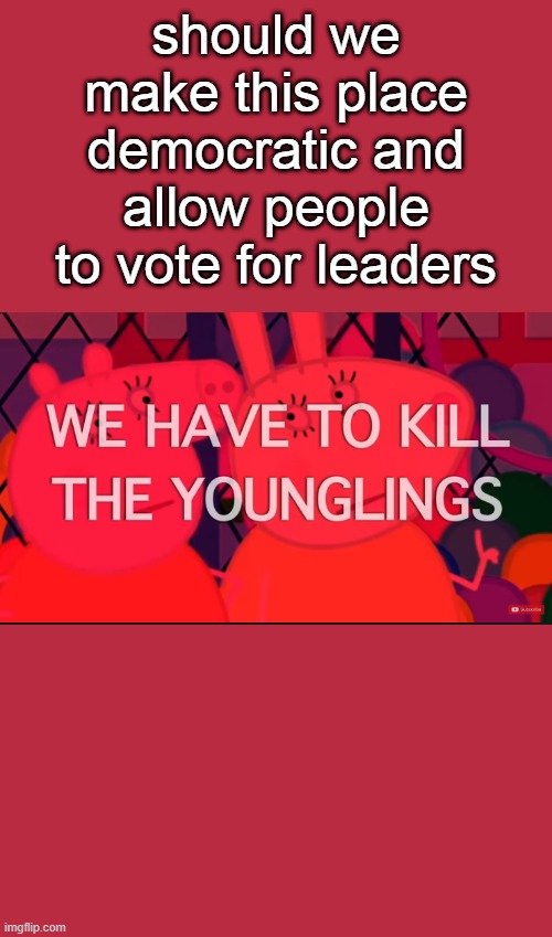 we have to kill the younglings | should we make this place democratic and allow people to vote for leaders | image tagged in we have to kill the younglings | made w/ Imgflip meme maker
