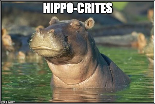 Skeptical Hippo | HIPPO-CRITES | image tagged in skeptical hippo | made w/ Imgflip meme maker