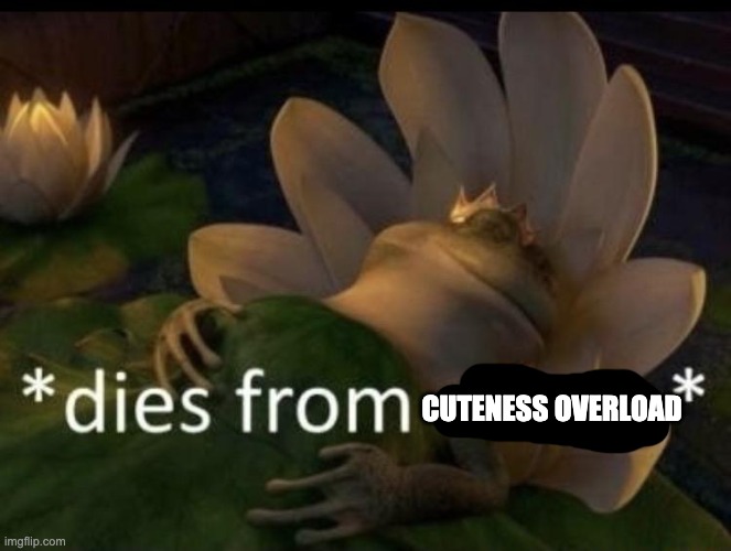 Dies from cringe | CUTENESS OVERLOAD | image tagged in dies from cringe | made w/ Imgflip meme maker