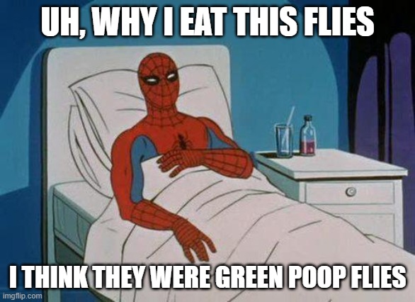 Be care what you eat. | UH, WHY I EAT THIS FLIES; I THINK THEY WERE GREEN POOP FLIES | image tagged in memes,spiderman hospital,spiderman | made w/ Imgflip meme maker