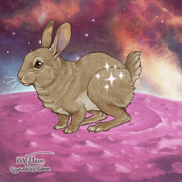 BUNIEEEE Blank Template - Imgflip