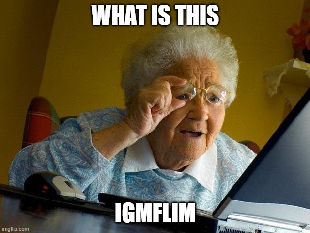 imgflip stupid grandma | WHAT IS THIS; IGMFLIM | image tagged in memes,grandma finds the internet | made w/ Imgflip meme maker