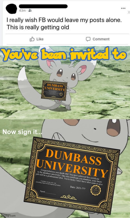 he is very dumb | image tagged in you've been invited to dumbass university | made w/ Imgflip meme maker