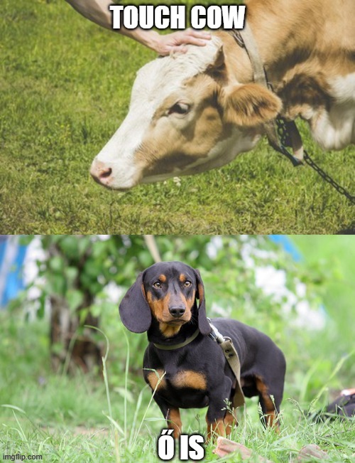 image tagged in meme | made w/ Imgflip meme maker