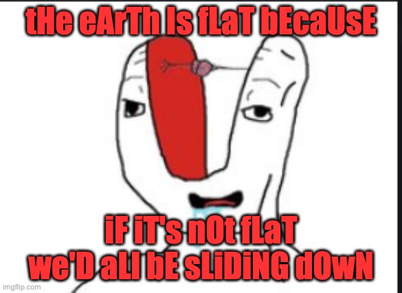 Small brain | tHe eArTh Is fLaT bEcaUsE iF iT's nOt fLaT we'D aLl bE sLiDiNG dOwN | image tagged in small brain | made w/ Imgflip meme maker