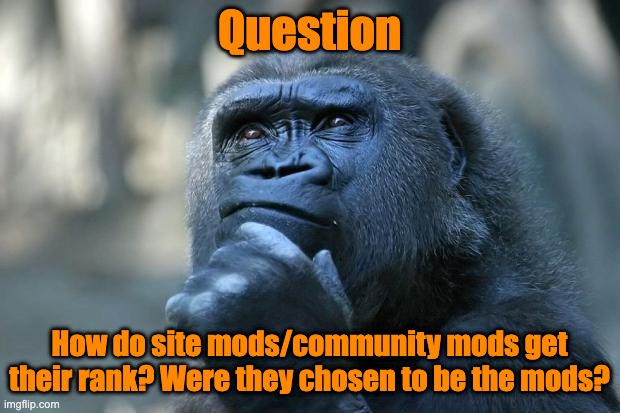 Question | Question; How do site mods/community mods get their rank? Were they chosen to be the mods? | image tagged in deep thoughts,question,hmm,site mods,mods | made w/ Imgflip meme maker