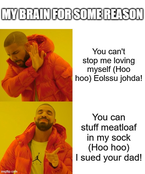 Drake Hotline Bling Meme | MY BRAIN FOR SOME REASON; You can't stop me loving myself (Hoo hoo) Eolssu johda! You can stuff meatloaf in my sock (Hoo hoo) I sued your dad! | image tagged in memes,drake hotline bling | made w/ Imgflip meme maker